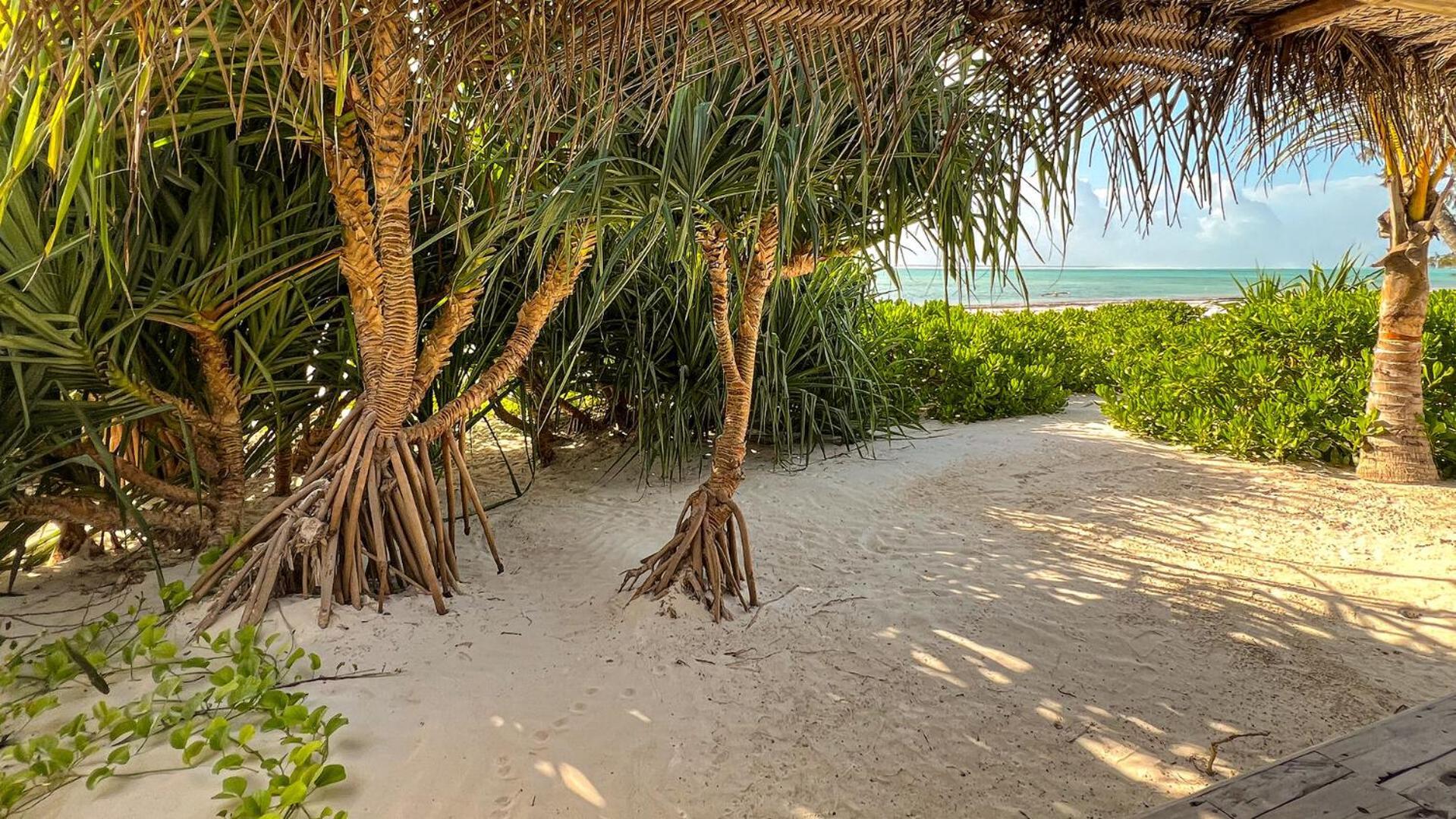 Infinity Beach Boutique Hotel & Spa Matemwe  Eksteriør billede